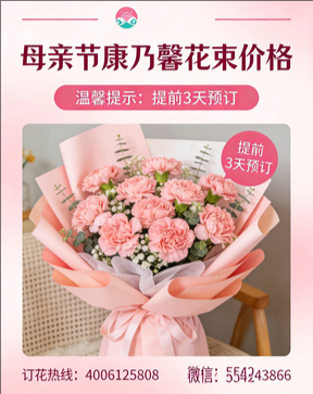 广元花店母亲节康乃馨花束
