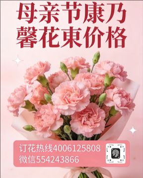 广元花店母亲节康乃馨花束